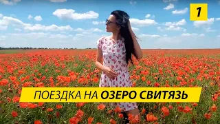 Озеро Свитязь 2021. Озеро Світязь 2021. Жилье и обзор пляжей