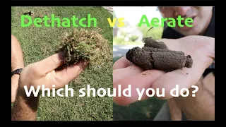 Aeration vs Dethatching // Which should YOU do??