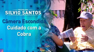 Cuidado com a Cobra - Watch Out for Snake Prank | Câmeras Escondidas (27/11/22)