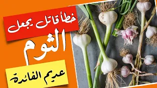 الثوم - خطأ قاتل عند تناول الثوم - الثوم علاج لضغط الدم المرتفع بدون ادوية