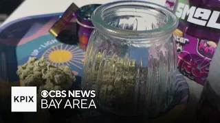 San Francisco Weed Week showcases cannabis startups ahead of 4/20