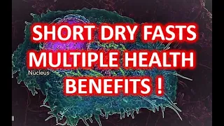 The Benefits of Short Dry Fasts