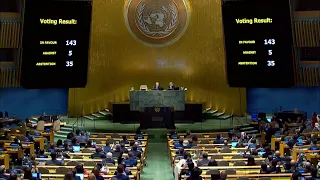 UN General Assembly condemns Russia's 'illegal annexation' of Ukraine land | AFP