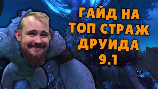 СТРАЖ ДРУИД ШАДОУЛЕДС ПАТЧ 9.1 ТОП КОВЕНАНТЫ ТАЛАНТЫ РОТАЦИЯ ХИМИЯ WOW PVE SHADOWLANDS WOW IVELKNOW