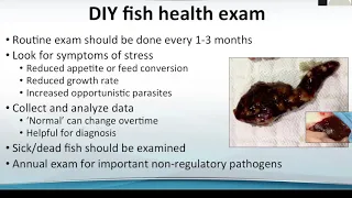 Fish Health  What you need to know as an aquaculture producer