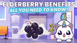 Elderberry Benefits  - All You Need to Know!