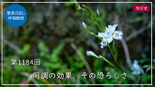 第1184回「同調の効果、その恐ろしさ」2024/4/4【毎日の管長日記と呼吸瞑想】｜ 臨済宗円覚寺派管長 横田南嶺老師