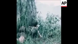 Historical Clip: Support Commando RLI Fireforce Operation