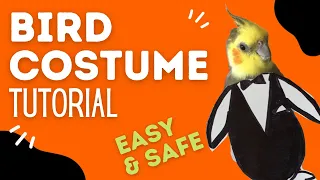 Halloween Costumes for Pet Birds Tutorial, safe and easy way to get your birb to wear a costume