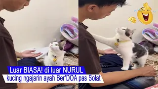 MashaAllah CUTE/unique moment when cats pray when dad prays/compilation of funny cats/#CT