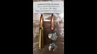 Norma BONDSTRIKE 180gr 30cal gel test 308, 30-06, 300 PRC