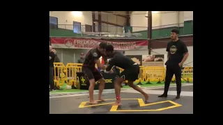 Iranian Underhook Study