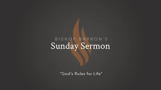 God’s Rules for Life — Bishop Barron’s Sunday Sermon