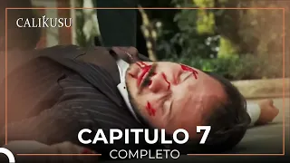 Calikusu 7 Capítulo