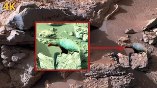 NASA's Mars Perseverance Rover Panoramic Cam Capture Most Strange 360° 4K Footage of Mars Terrain