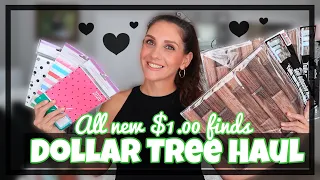 DOLLAR TREE HAUL **A NEW SHIPMENT CAME IN!** RANDOM AWESOME FINDS