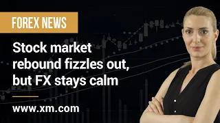 Forex News: 29/01/2021 - Stock market rebound fizzles out, but FX stays calm