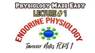 Endocrine Physiology lecture 1