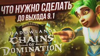 Как подготовить персонажа к выходу 9.1 | Рекомендации по правильному старту в WoW Shadowlands 9.1