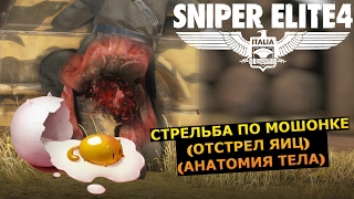 Sniper Elite 4 #4 Стрельба по мошонке (отстрел яиц) (Анатомия тела)