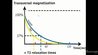 MRI Physics  Part 8 T1 ,T2 and PD اساسيات فيزياء  الرنين المغناظيسي بالعربي