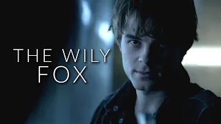 Kol Mikaelson | The Wily Fox