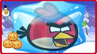 Unfreeze Angry Birds | Best Games VK