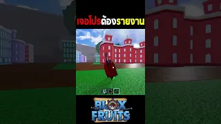 Blox Fruits เจอโปรต้องกดรายงานนะครับ !!!