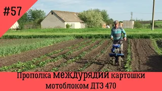 Прополка междурядий картошки мотоблоком ДТЗ 470