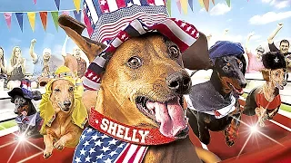 Shelly le Teckel | FILM COMPLET en Français (Chien, Famille, Comédie)