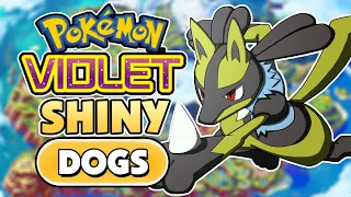 I Beat Pokemon Violet with ONLY SHINY DOGS!