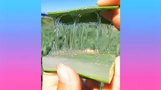 Oddly Satisfying Video | The Perfection Delights Your Eyes