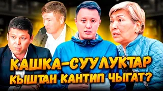 Кашка-Суулуктар кыштан кантип чыгат? | КАРАКОЛ | Улукбек Карыбек уулу