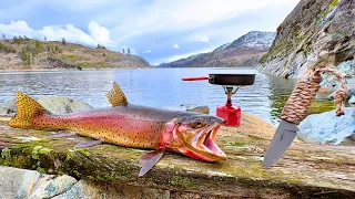 BIG Trout Catch & Cook!!! SOLO Fishing a SECRET COVE!