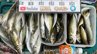 堤防で座ってアジ100匹釣ったサビキと道具がコレ🎣