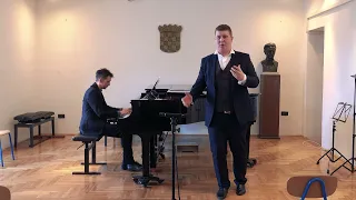 Schumann: Ich grolle nicht | Stipan Režić