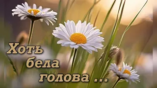 ХОТЬ БЕЛА ГОЛОВА … 🙏#ЕвгенийКрыгин