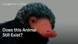 Which one of THESE ANIMALS doesn´t ACTUALLY EXIST 🦖 Odd One Out 🤷‍♂️ | Google Arts & Culture