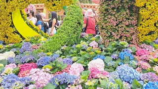 FLOWER SHOW IN HONGKONG (2024) by zhenwen