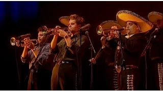 Calexico | El Picador feat. Mariachi Luz de Luna