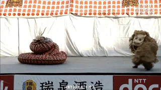 Japanese dragon Dance & Lion Dance