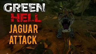 Green Hell - JAGUAR ATTACK - Combat Update