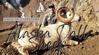 Once In A Lifetime Alaska Dall Sheep Hunt!