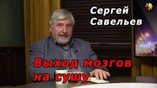 С.В. Савельев - Выход мозгов на сушу