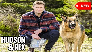 Hudson & Rex 2024 - Season 1 Ep. 9 - Hudson & Rex Full Episode