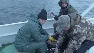 Рыбалка на палтуса в Магадане Halibut fishing in Okhotsk sea