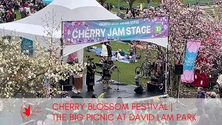 71 Cherry Blossom Festival and The Big Picnic at David Lam Park #canadianimmigrantstory