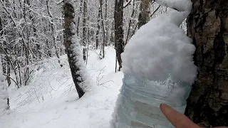 До Нас повернулась Зима! Поїхали по березовий сік