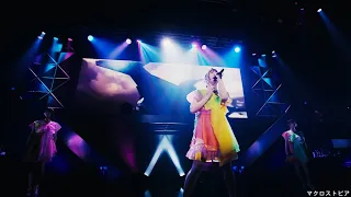Walküre -『AXIA~Daisuki de Daikirai~』Live Compilation