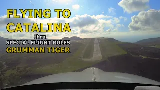 Flying to Catalina / LA Special Flight Rules / Santa Paula / Grumman Tiger
